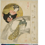 Honchōren jūban zukushi (Set of ten for the Honchō Circle): Woman with fan in roundel 